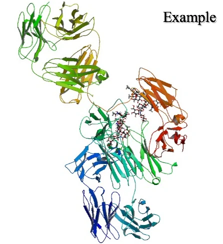 Eculizumab هو جسم مضاد أحادي النسيلة
